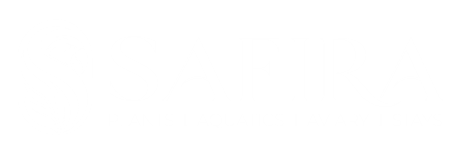Safira · Plants, Aquatics, Aviary and Stays